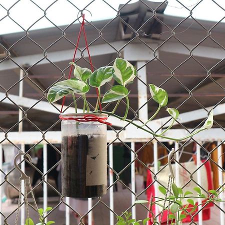 Kalon Homestay, Hai Ba Trung, Hn Hanoi Exterior photo