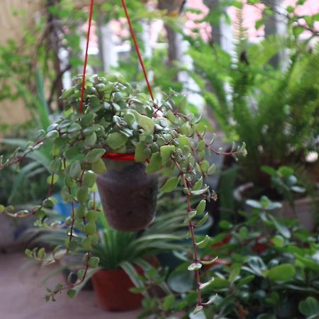 Kalon Homestay, Hai Ba Trung, Hn Hanoi Exterior photo