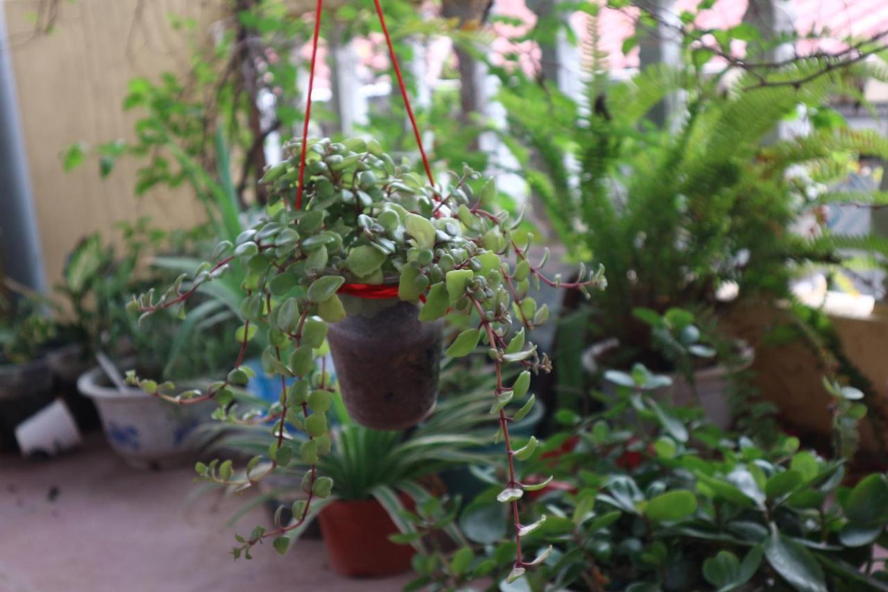 Kalon Homestay, Hai Ba Trung, Hn Hanoi Exterior photo