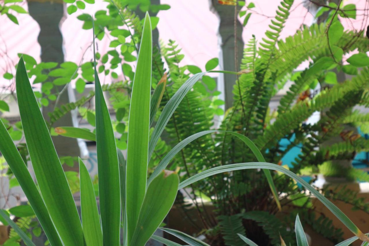 Kalon Homestay, Hai Ba Trung, Hn Hanoi Exterior photo